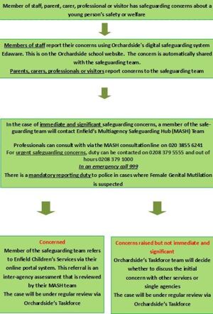 Safeguarding flowchart 1